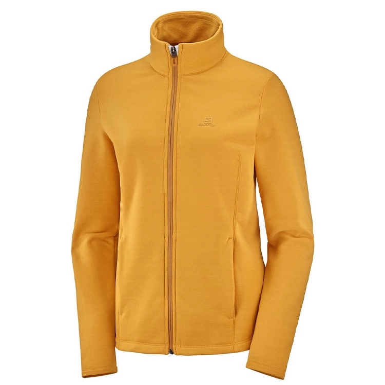 Толстовка Salomon RADIANT FZ W