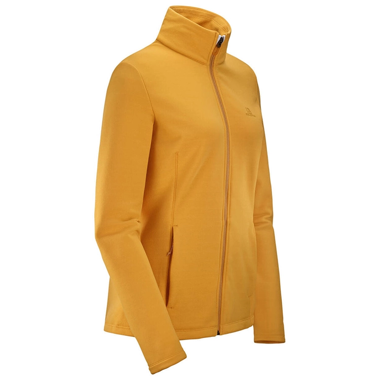 Толстовка Salomon RADIANT FZ W