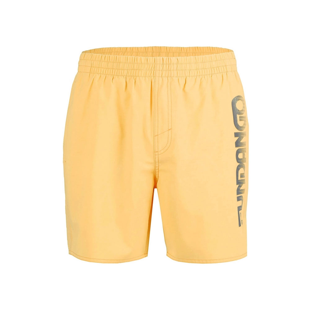 Шорты для плавания Fundango Bono Beach Shorts