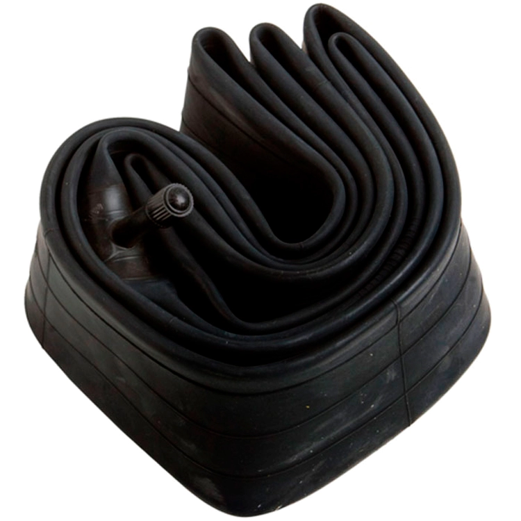 Camera Giant Tube 20-Inch, Schrader Valve