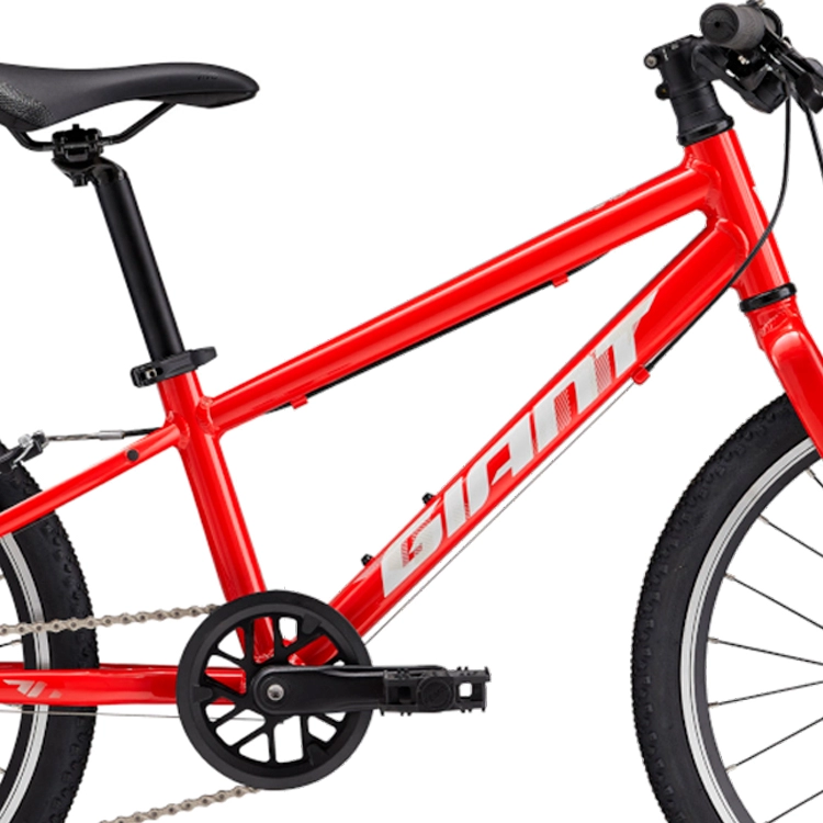 Bicicleta pentru copii Giant ARX 20