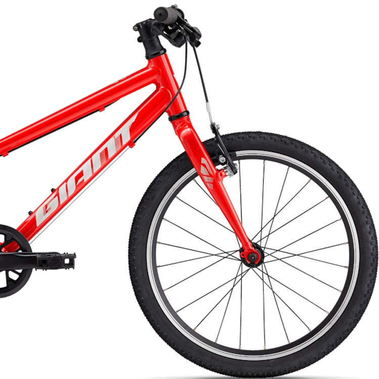 Bicicleta pentru copii Giant ARX 20