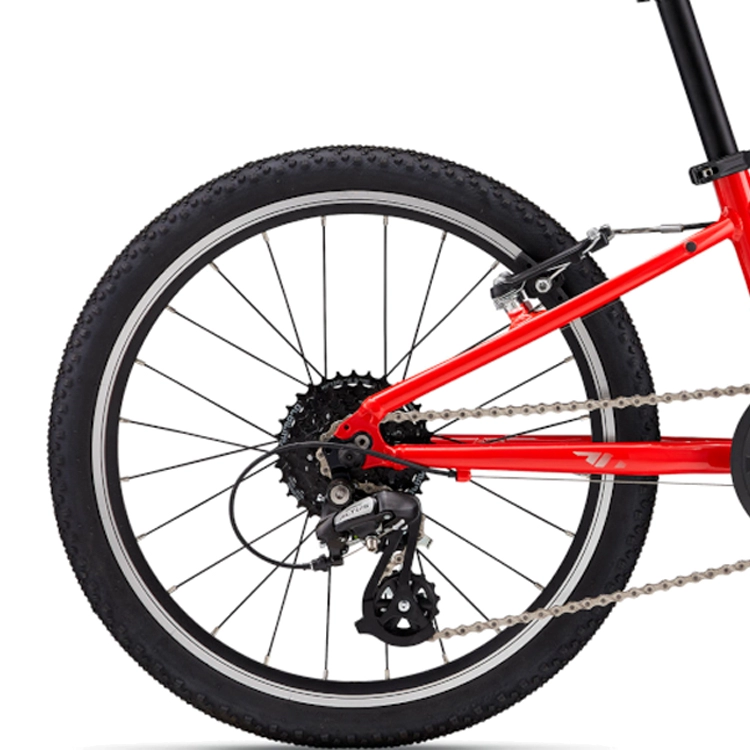 Bicicleta pentru copii Giant ARX 20