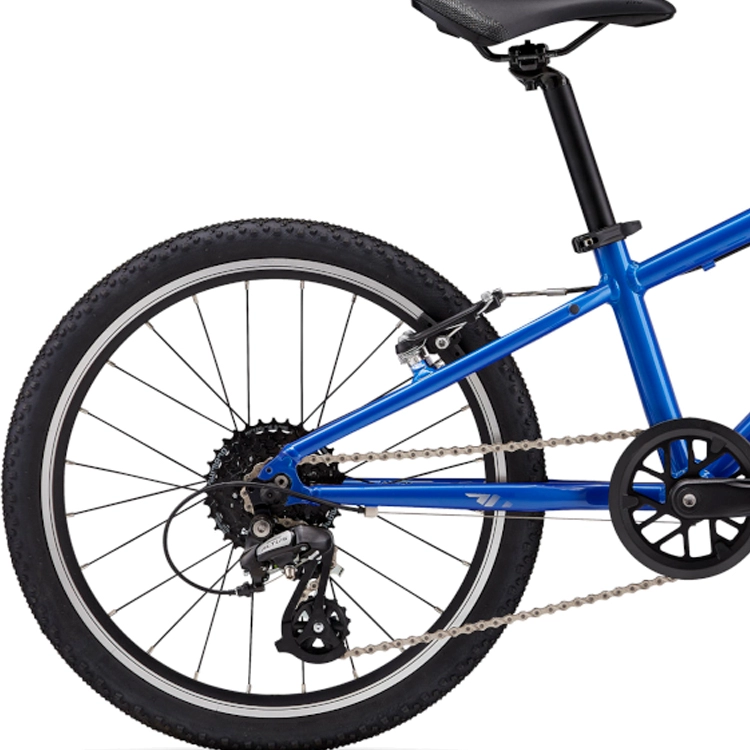 Bicicleta pentru copii Giant ARX 20