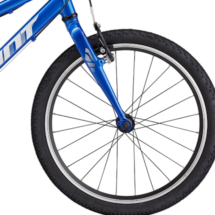 Bicicleta pentru copii Giant ARX 20
