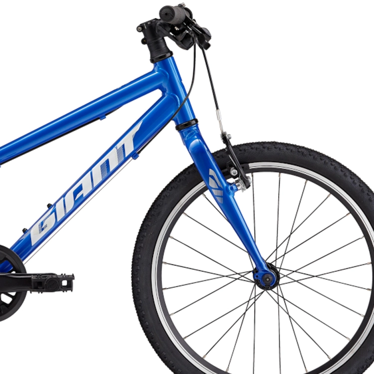 Bicicleta pentru copii Giant ARX 20