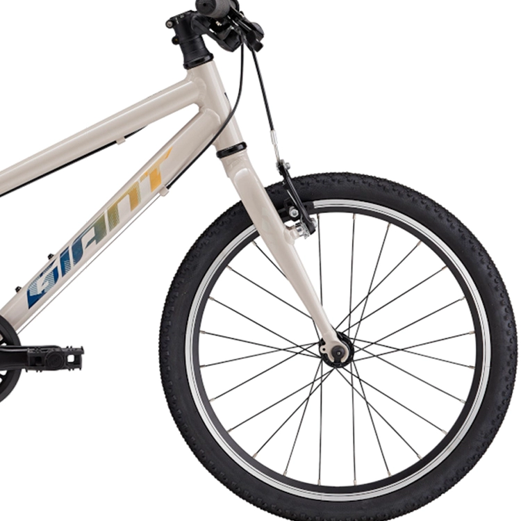 Bicicleta pentru copii Giant ARX 20