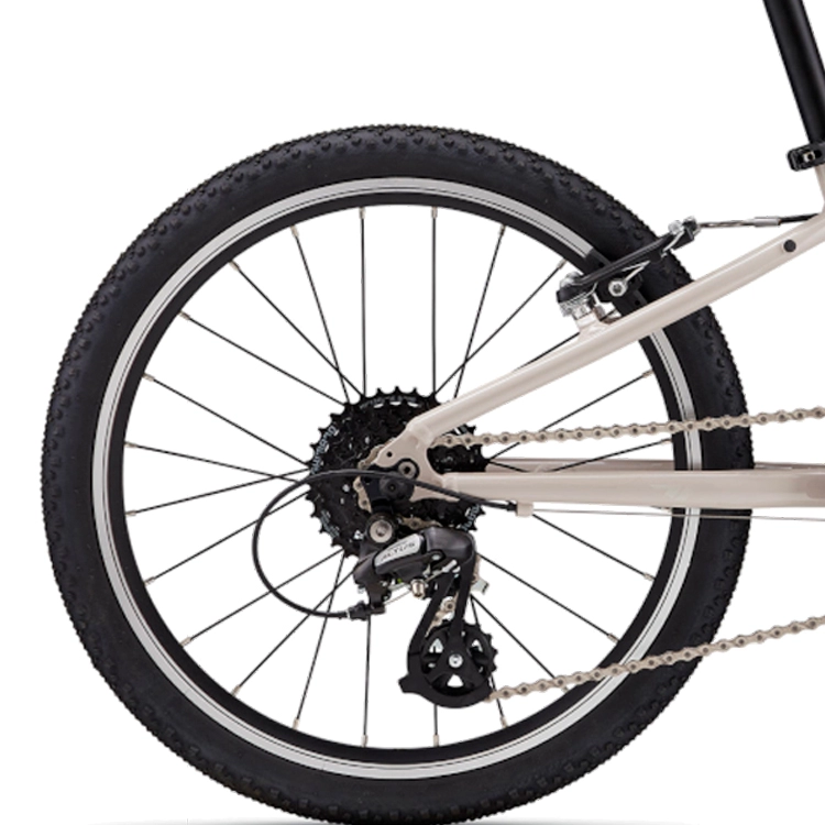 Bicicleta pentru copii Giant ARX 20