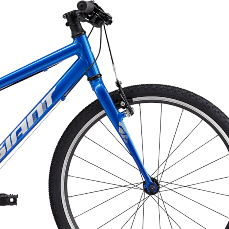 Bicicleta pentru copii Giant ARX 24