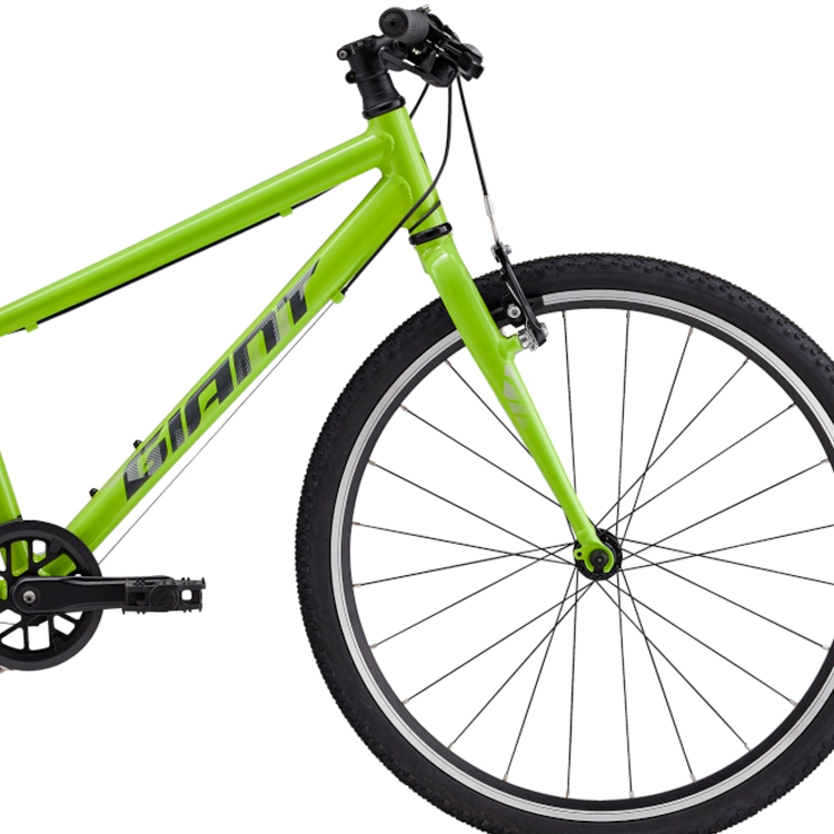 Bicicleta pentru copii Giant ARX 24