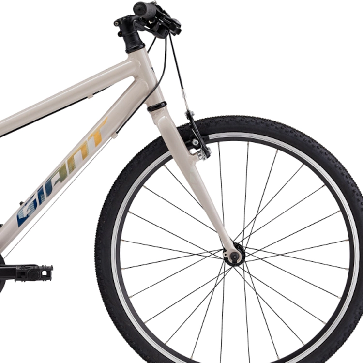 Bicicleta pentru copii Giant ARX 24