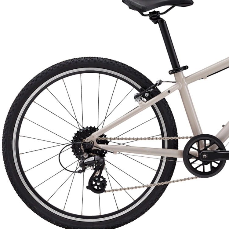 Bicicleta pentru copii Giant ARX 24