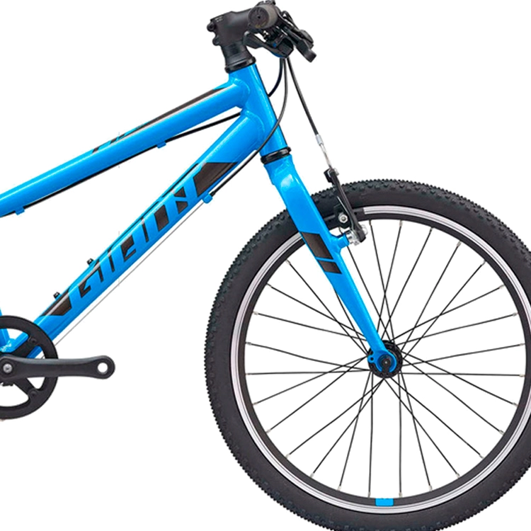 Bicicleta pentru copii Giant ARX