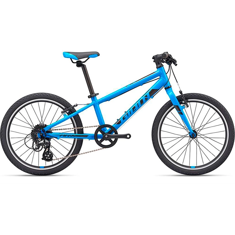 Bicicleta pentru copii Giant ARX