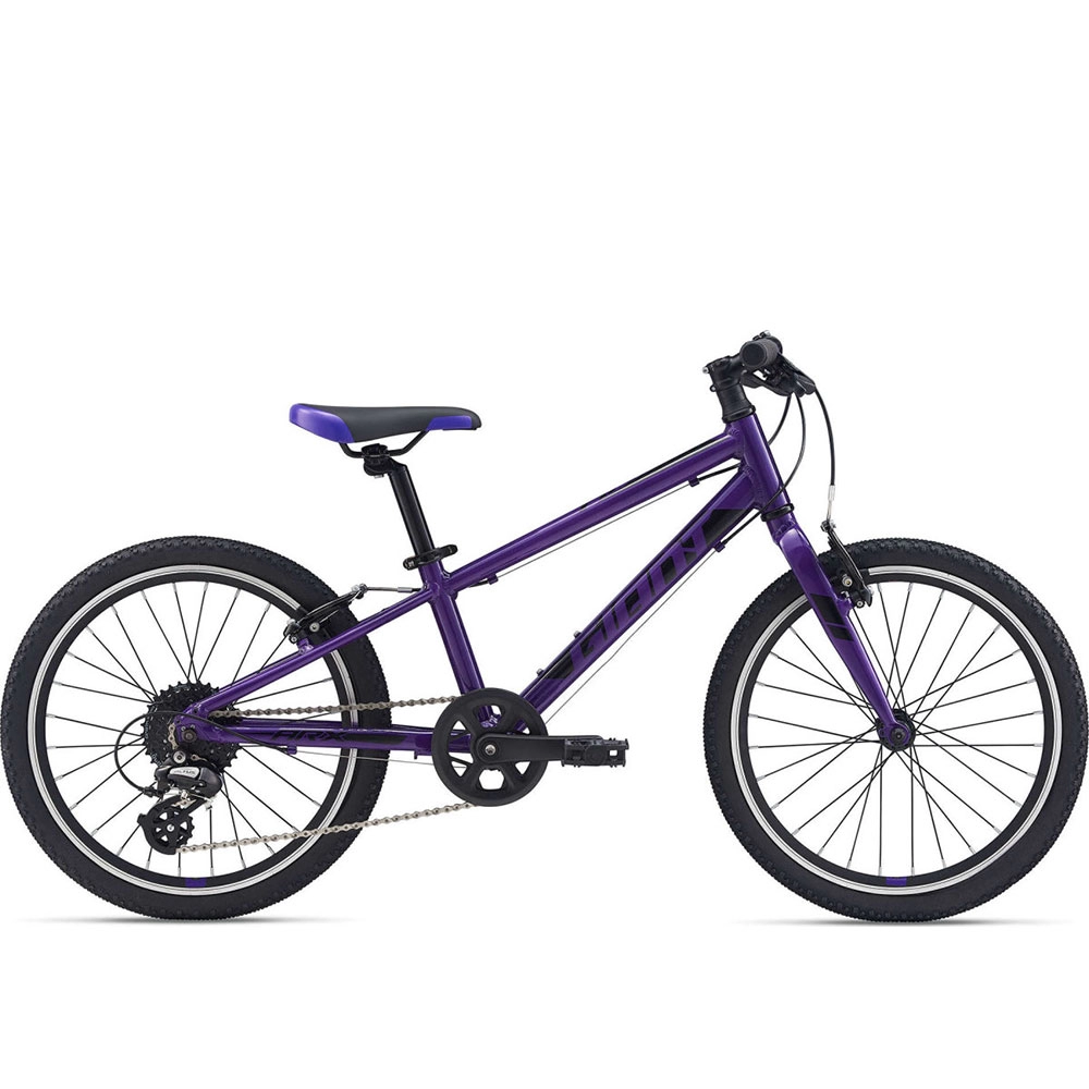 Велосипед для детей Giant ARX 20