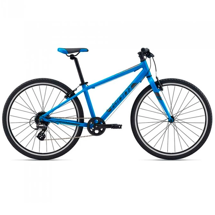Велосипед для детей Giant ARX 24