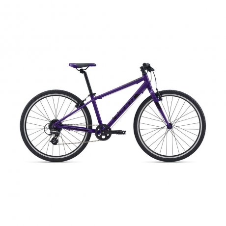 Bicicleta p/u copii Giant ARX 26