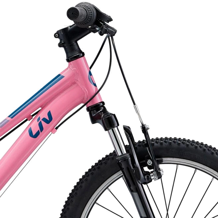 Велосипед детский Liv Enchant 20 Azalea Pink