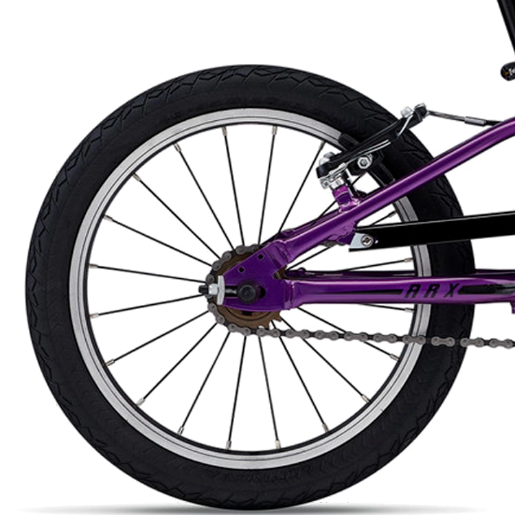 Bicicleta pentru copii Giant ARX 16 F/W