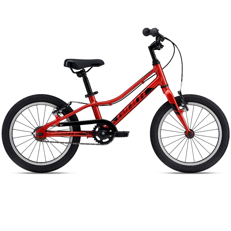 Bicicleta pentru copii GIANT ARX 16 F/W