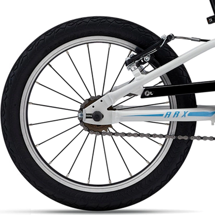 Bicicleta pentru copii Giant ARX 16 F/W