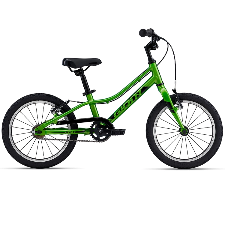 Bicicleta pentru copii GIANT ARX 16 F/W