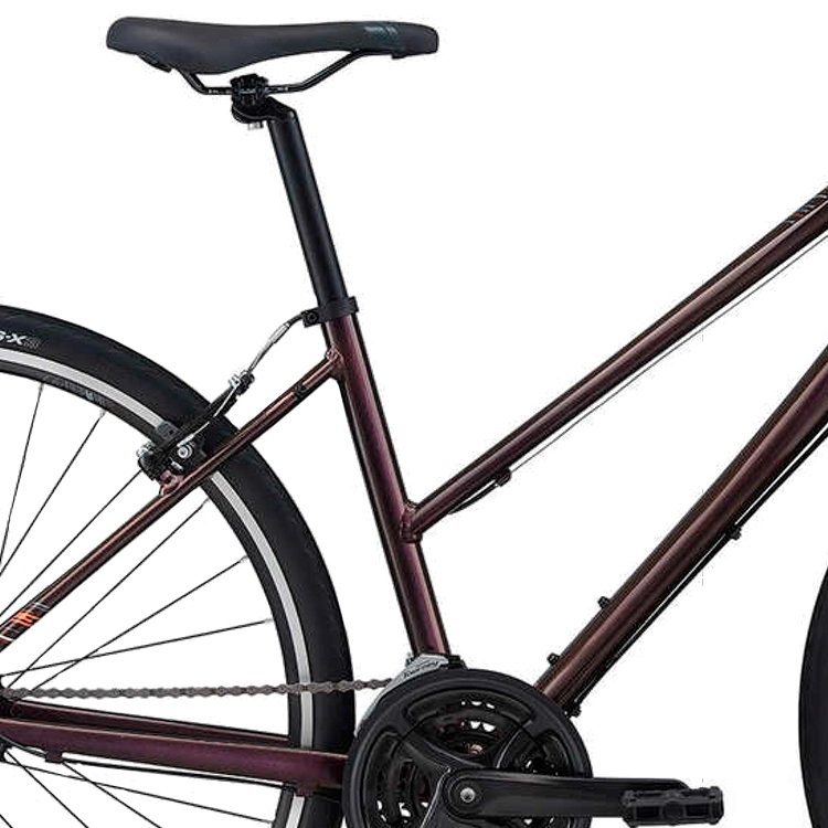 Bicicleta de oras Liv Alight 3