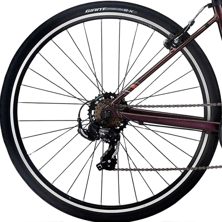 Bicicleta de oras Liv Alight 3