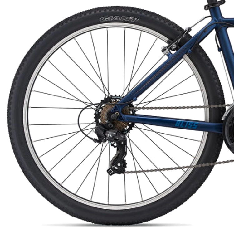 Bicicleta de munte Liv Bliss