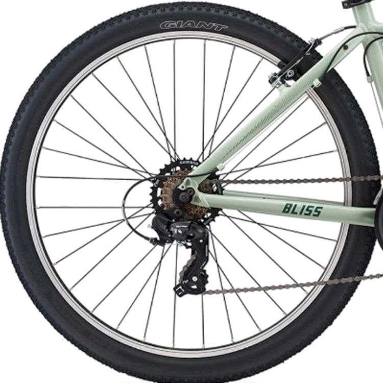Bicicleta de munte Liv Bliss