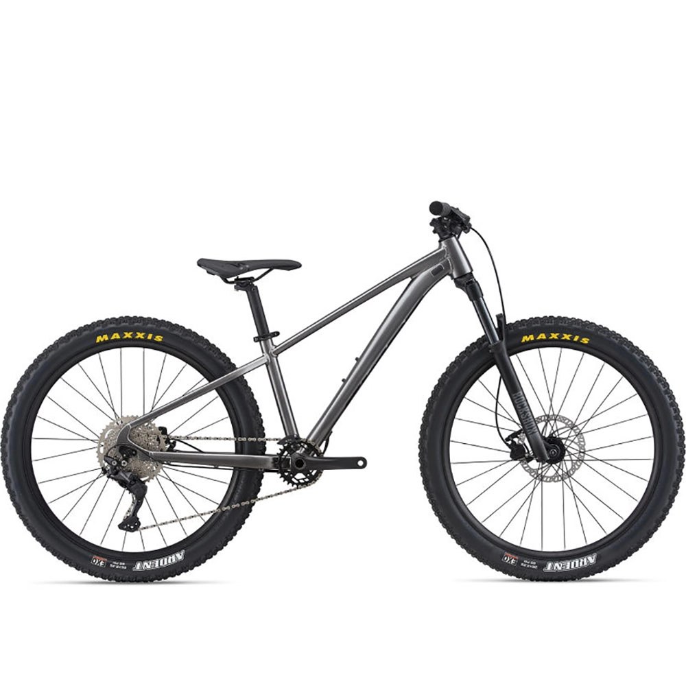 Bicicleta p/u copii Giant STP 26