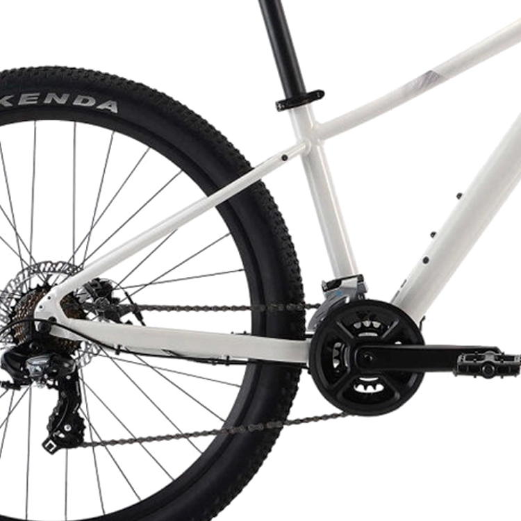 Bicicleta de munte Liv Tempt 5
