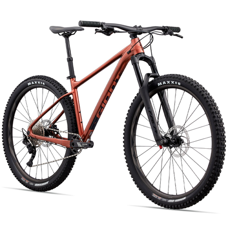 Bicicleta profesional Giant Fathom 29 2