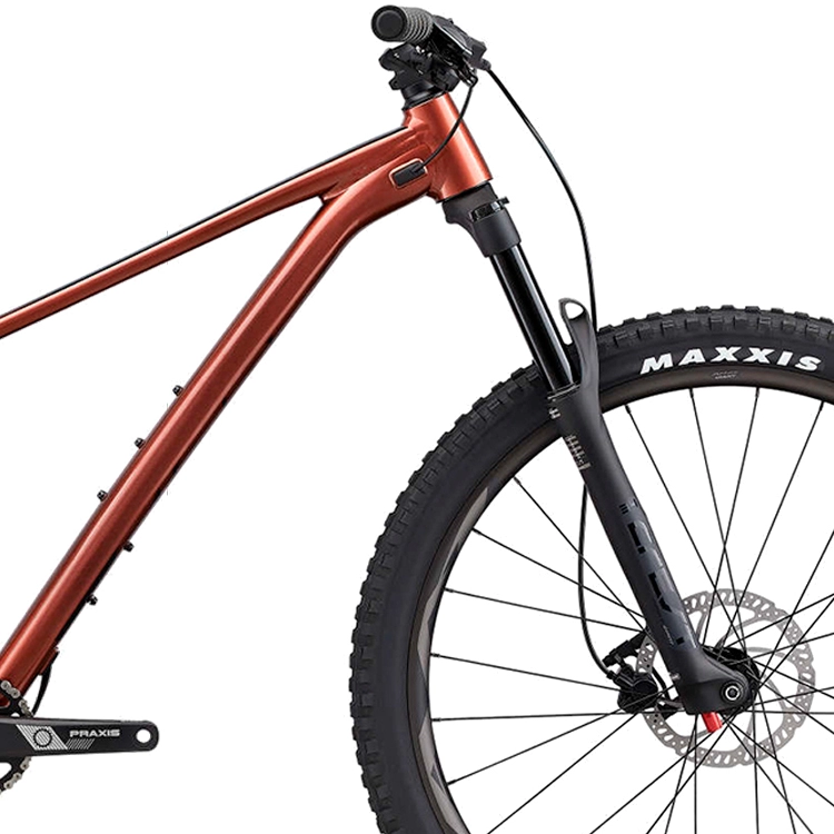 Bicicleta de munte Giant Fathom 29 2