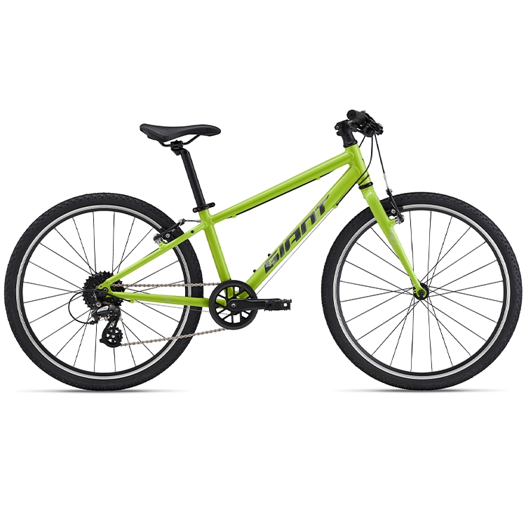 Bicicleta pentru copii GIANT ARX 24