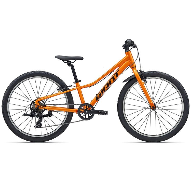Bicicleta pentru copii GIANT Talon 24 Lite