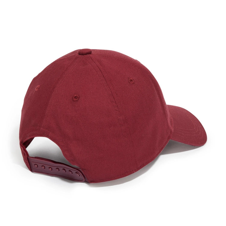 Chipiu Adidas DAILY CAP   