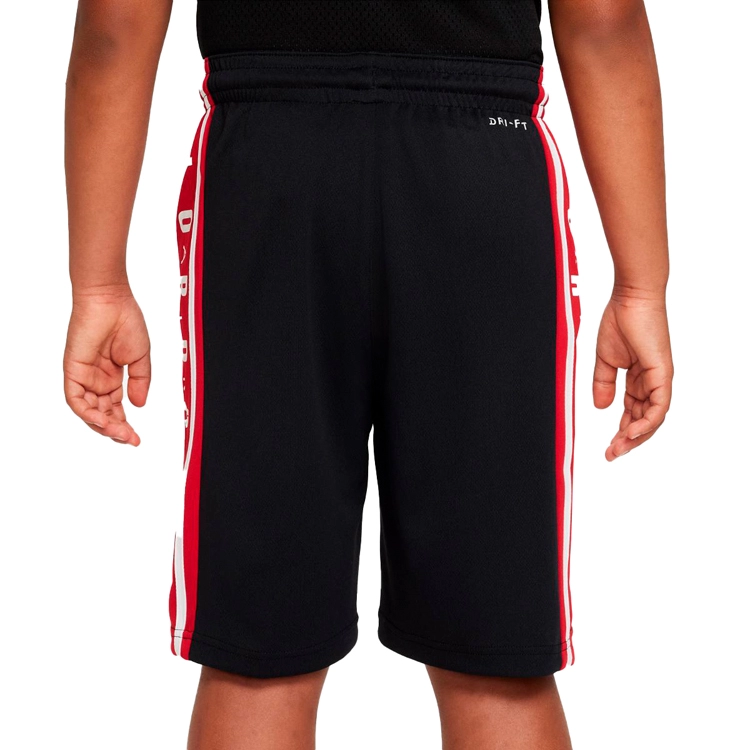 Шорты Nike AIR JORDAN HBR BBALL SHORT