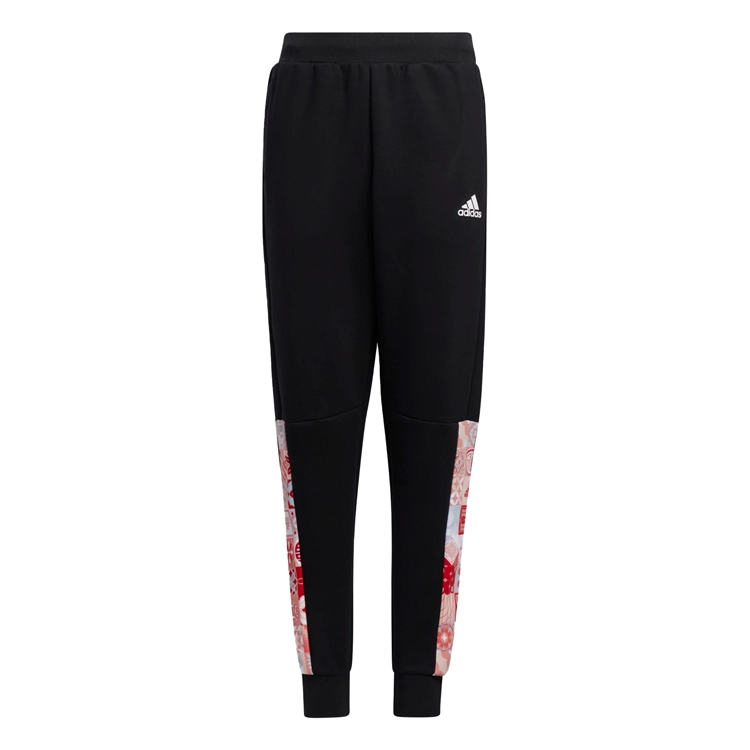 Брюки Adidas JK CNY PE PNT