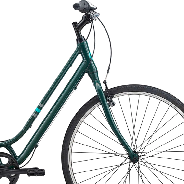 Bicicleta Aventure Liv Flourish 4