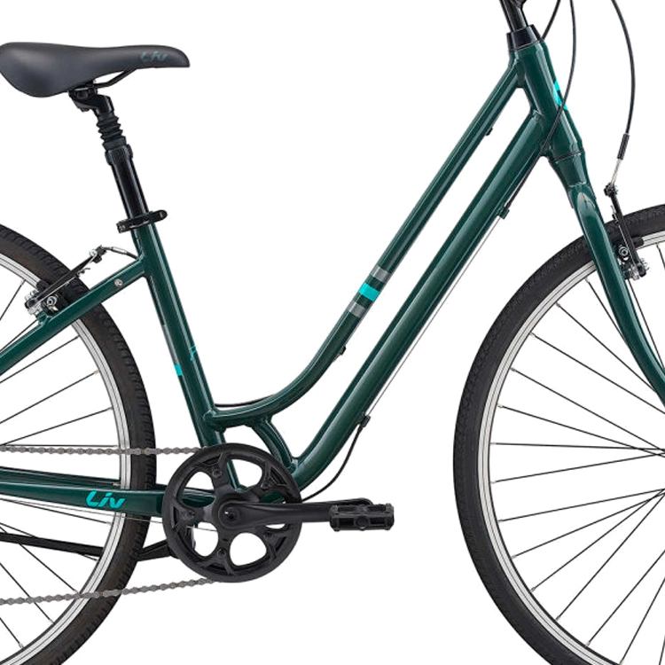 Bicicleta Aventure Liv Flourish 4