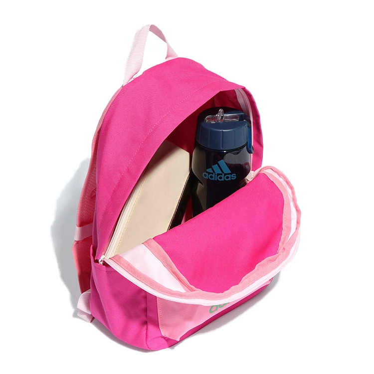 Rucsac Adidas LK BP BOS NEW