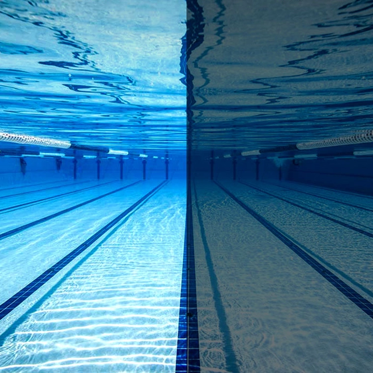 Очки для плавания Speedo BIOFUSE 2.0 POL