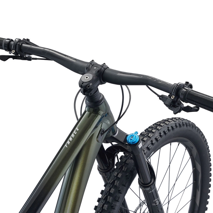 Велосипед горный Giant Trance 29 1