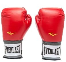 Manusi box Everlast PU Pro Style Anti-MB 