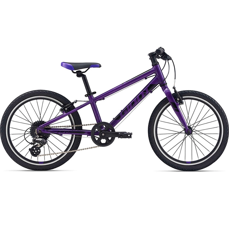 Bicicleta pentru copii Giant ARX