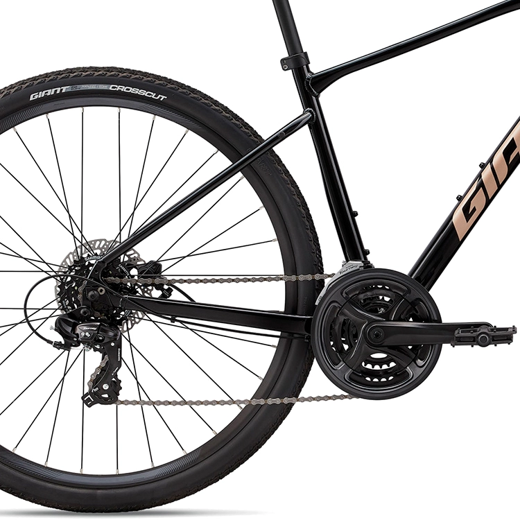 Bicicleta Aventure Giant Roam 4