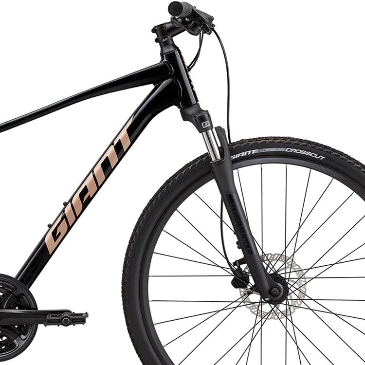 Bicicleta Aventure Giant Roam 4