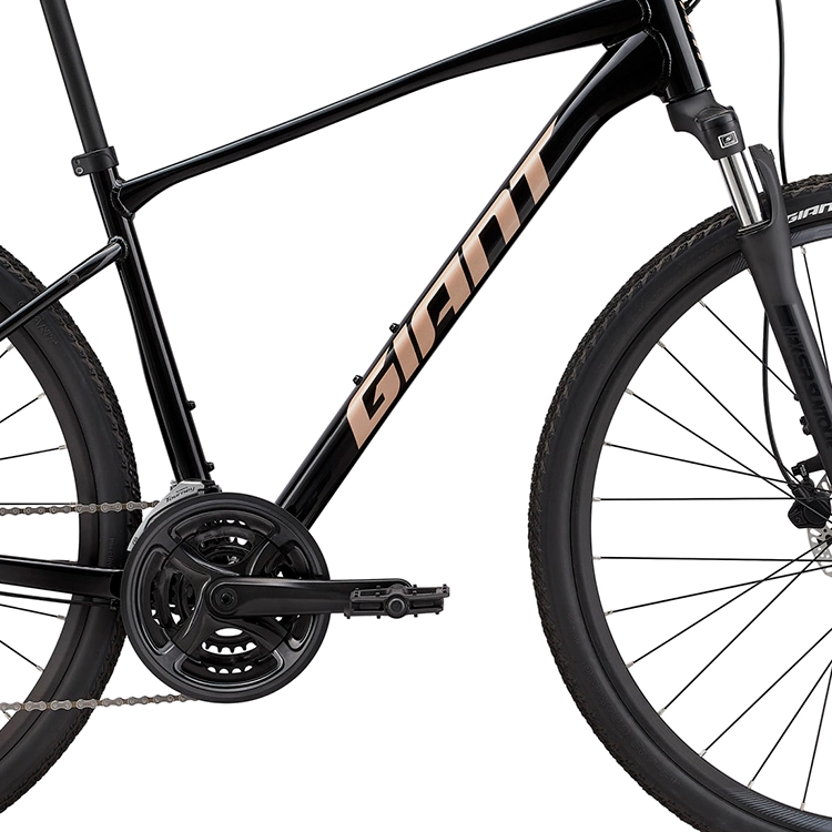 Bicicleta Aventure Giant Roam 4