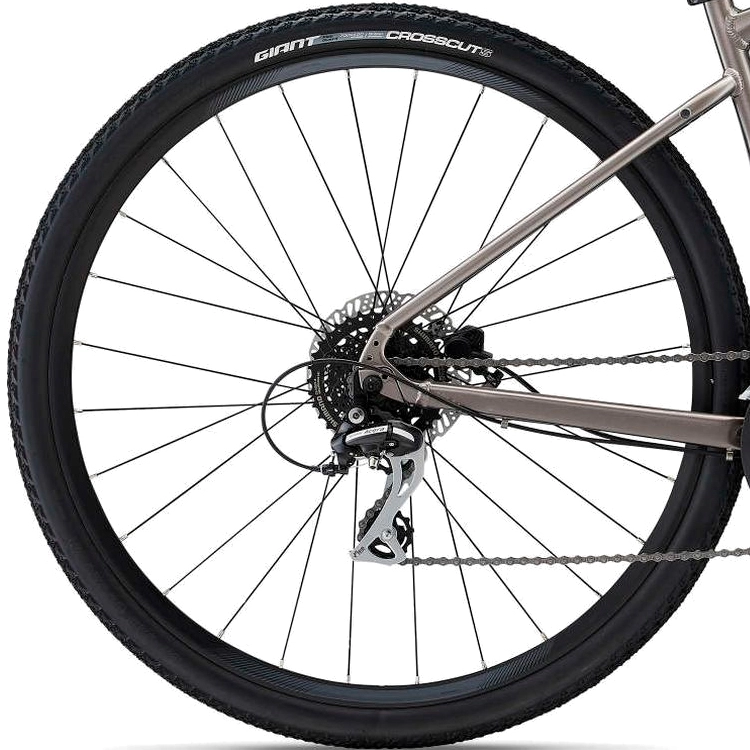 Bicicleta Aventure Giant Roam 3 Disc